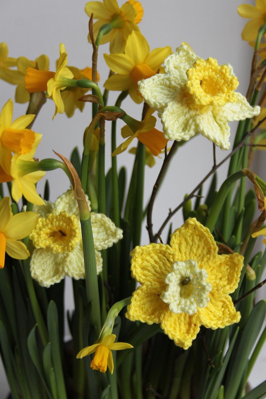Home daffodil, crochet flowers, crochet, yellow, spring, decoration, bouquet of flowers, crochet flowers, crochet flowers, crochet flowers, crochet flowers, crochet flowers, crochet, crochet, crochet, crochet, crochet